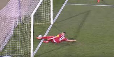 Serbian defender clearing the ball as it crossed the line.